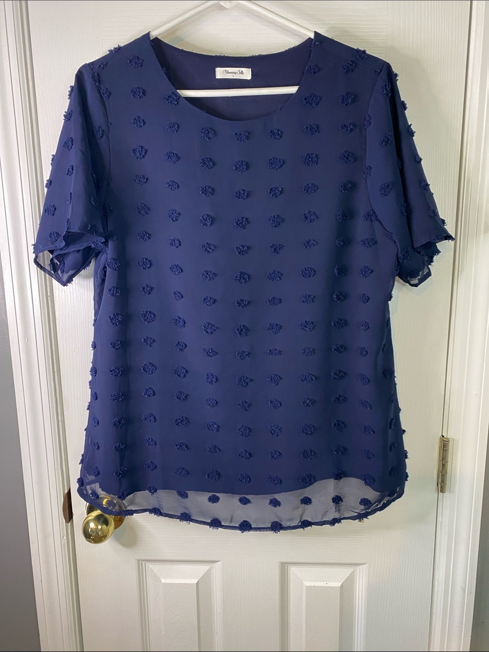 Blooming Jelly Navy Swiss Dot Chiffon Short Sleeve Top Size Large.